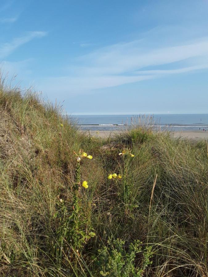 Vakantiestudio De Zeeparel De Panne Zewnętrze zdjęcie